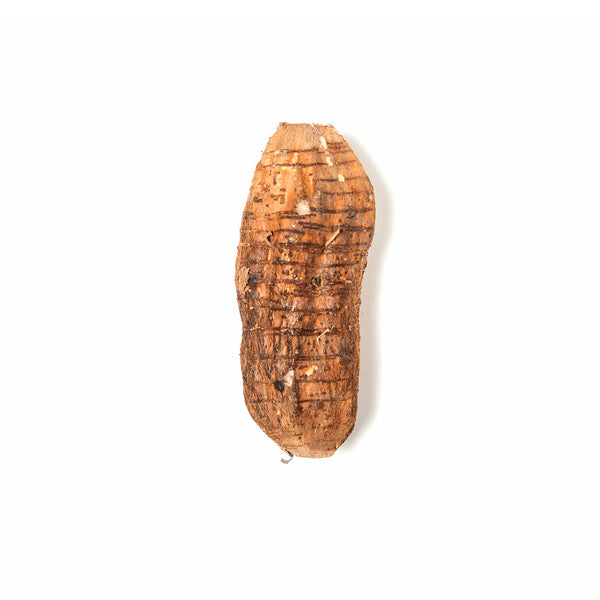 Arrowroot 葛根 700g-800g+/-