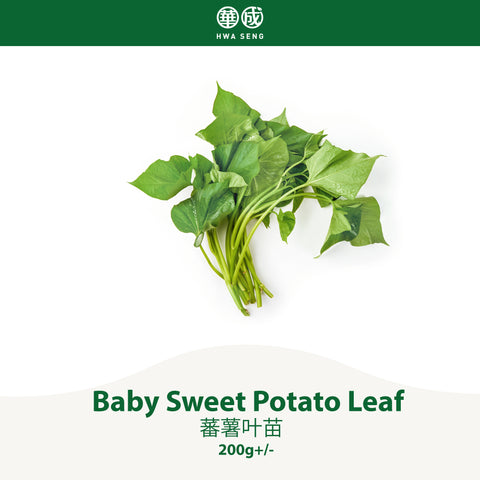 Baby Sweet Potato Leaf 蕃薯叶苗 200g+/-