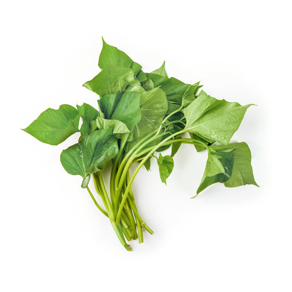 Baby Sweet Potato Leaf 蕃薯叶苗 200g+/-