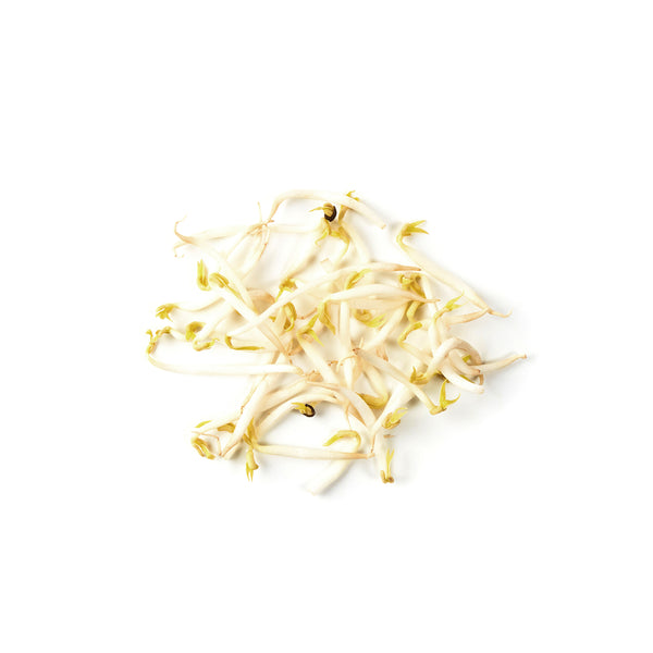 Bean Sprout 豆芽 500g+/-