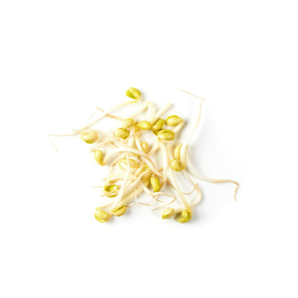 Big Bean Sprout 大豆芽 300g+/-