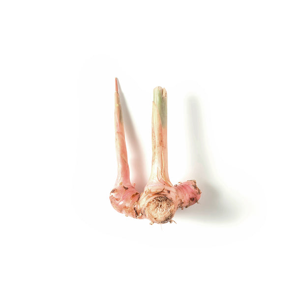 Blue Ginger 南姜 200g+/-