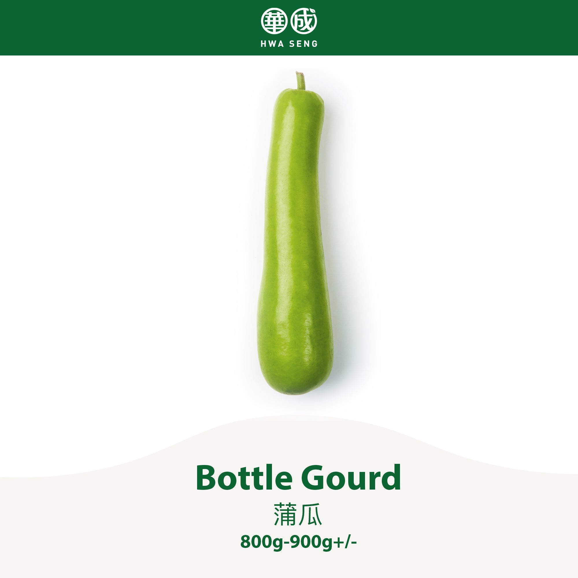 Bottle Gourd 蒲瓜 800g-900g+/-