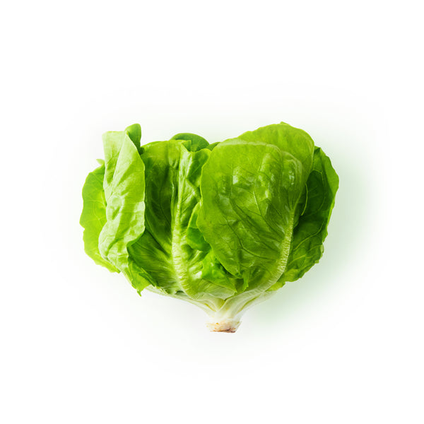 Butterhead Lettuce 奶油生菜 300g+/-