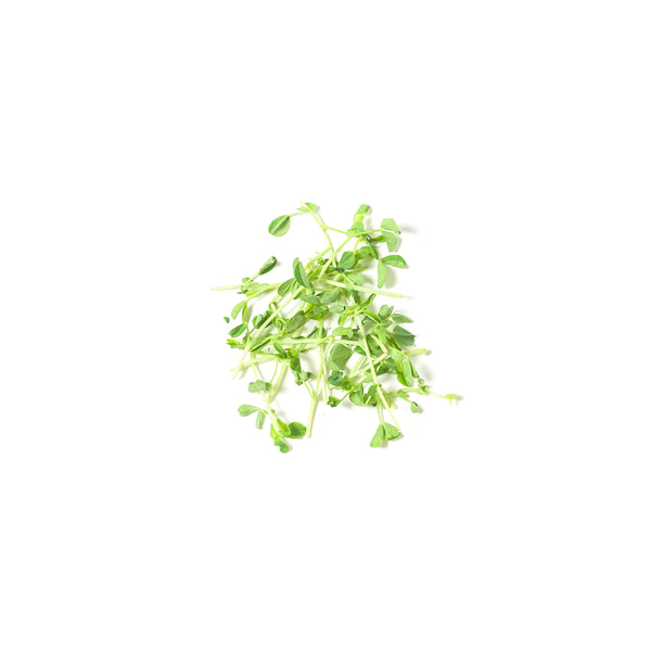 Cameron Pea Sprout 金馬轮豆苗 200g+/-