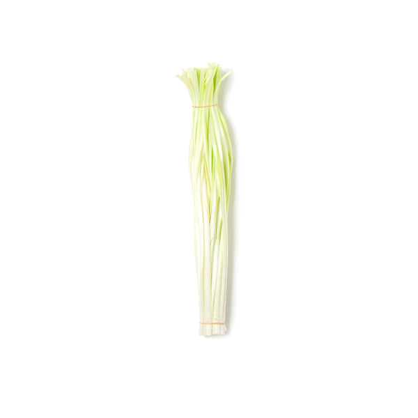 China Yellow Chive 中国韭黃 200g+/-