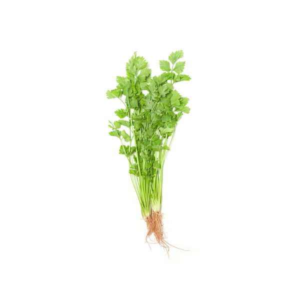 Chinese Celery 本地芹菜 100g+/-