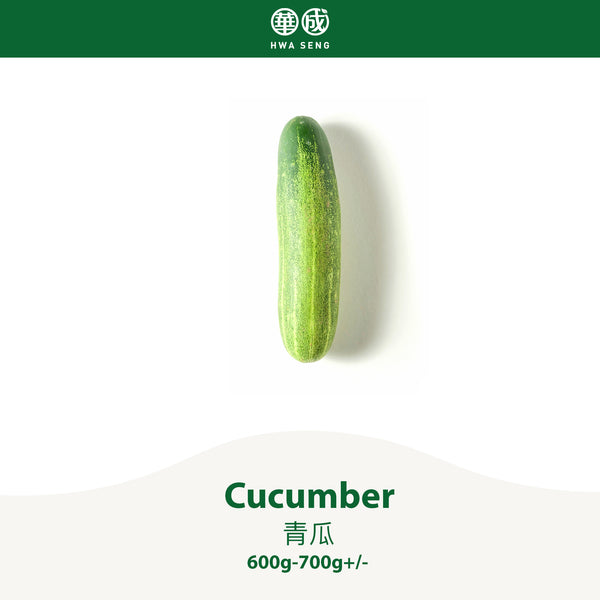 Cucumber 青瓜 600g-700g+/-