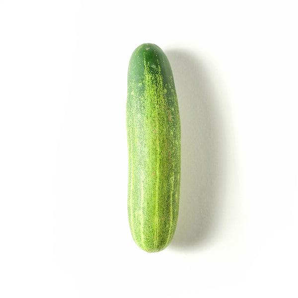 Cucumber 青瓜 600g-700g+/-