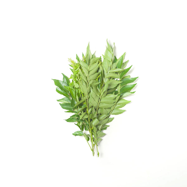 Curry Leaves 咖哩叶 50g+/-