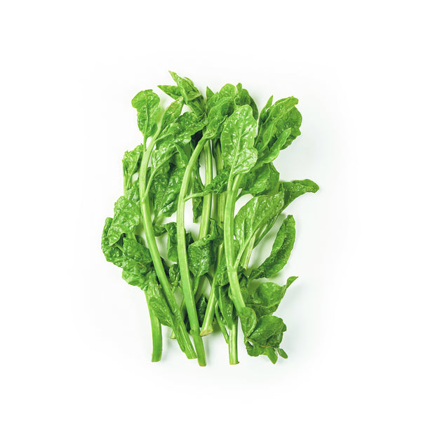Di Huang Miao 帝皇苗 200g+/-