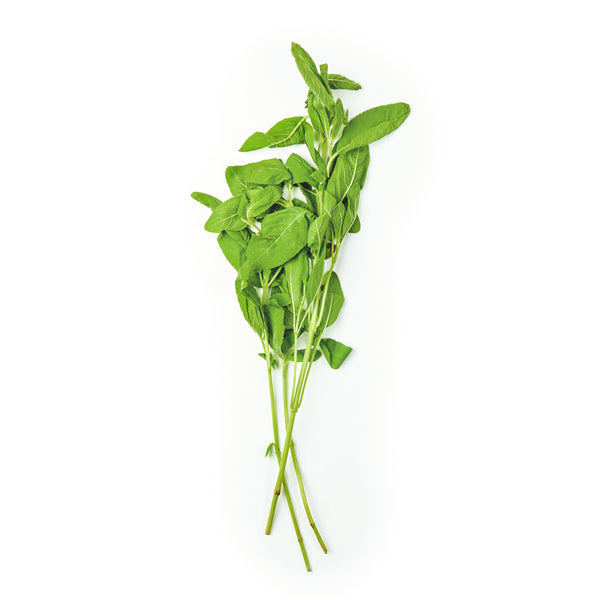 Hot Basil 50g+/-
