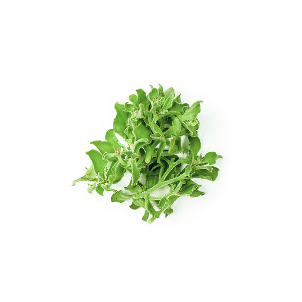 Ice Plant 冰菜 200g+/-