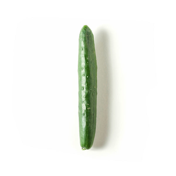 Japanese Cucumber 日本青瓜 500g+/-