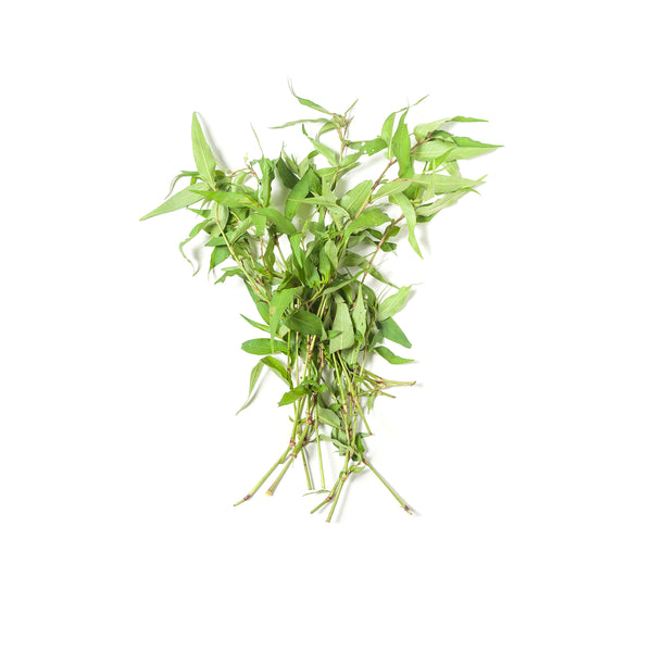 Laksa Leaves 拉沙叶 50g+/-