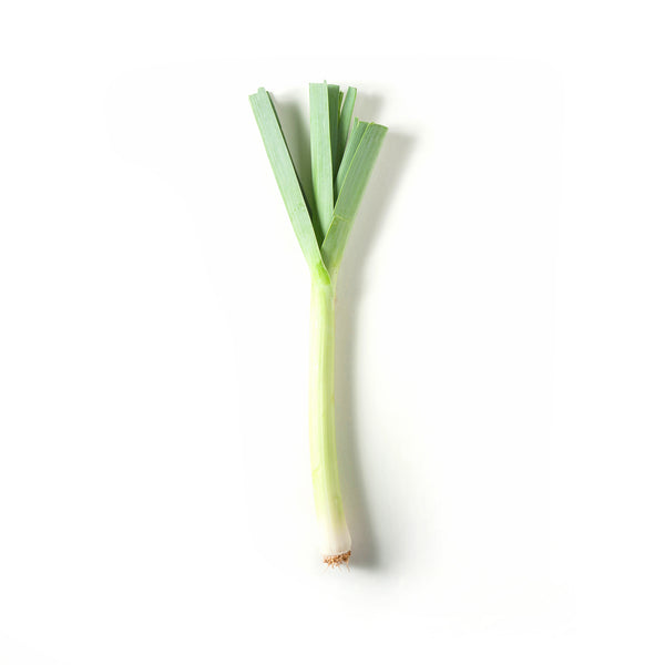 Leek 长蒜 250g-300g+/-