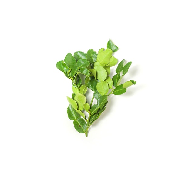 Lemon Leaves 拧檬叶 50g+/-