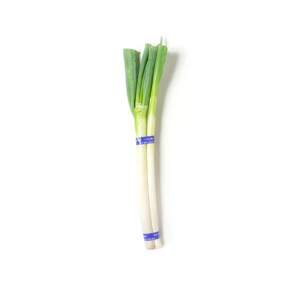 Northern Leek 北葱 200g-300g+/-