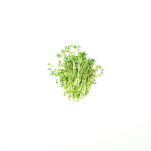 Organic Pea Sprout 水豆苗 200g+/-