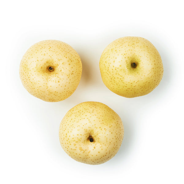 Snow Pear 雪梨 3pcs
