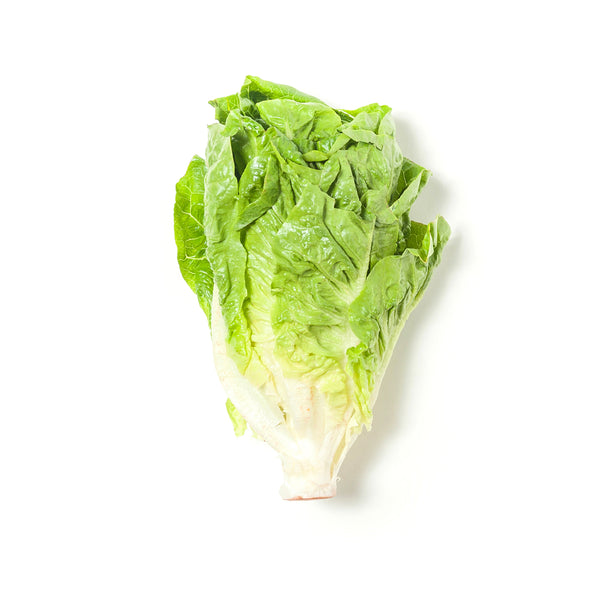 Romaine Lettuce 罗马生菜 200g-300g+/-