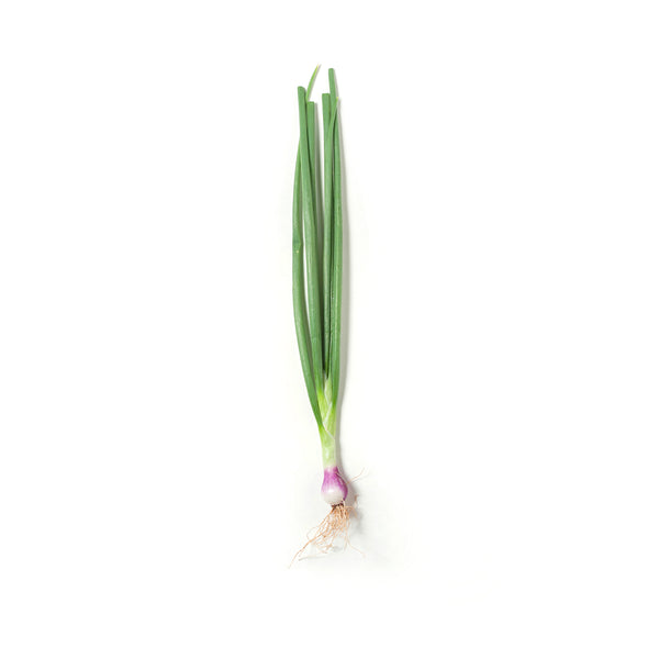Spring Onion 青葱 100g+/-