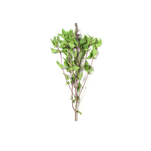 Sweet Basil 金不换 50g+/-