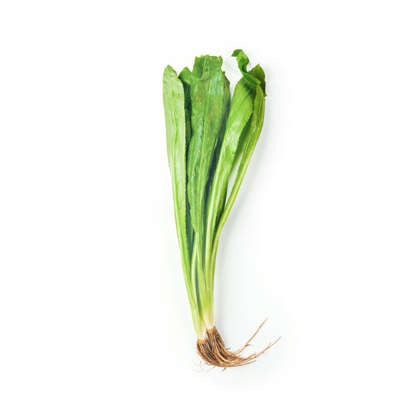 Sawtooth Coriander 泰国芫茜 100g+/-