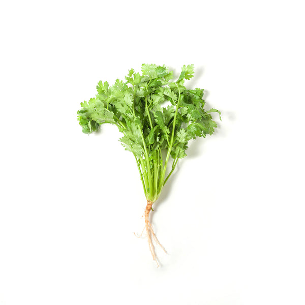 Coriander 泰国芫茜 100g+/-