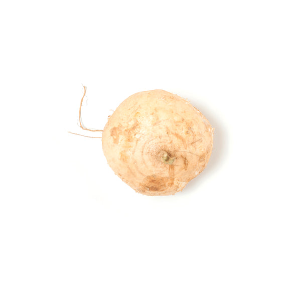 Turnip 芒光 1kg-1.2kg+/-