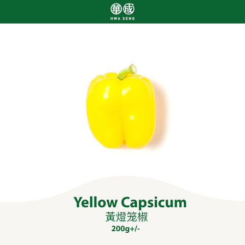 Yellow Capsicum 黃燈笼椒 200g+/-