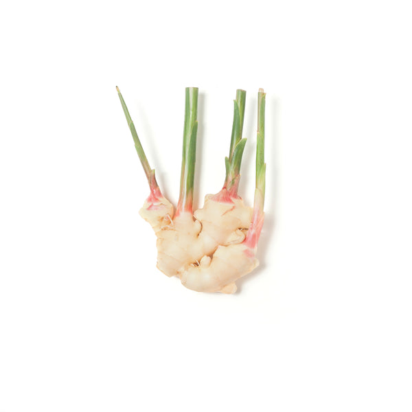 Young Ginger 子姜 200g+/-