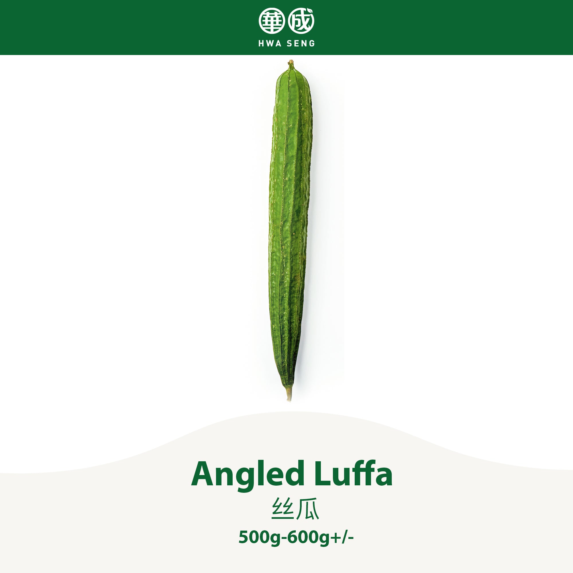 Angled Luffa 絲瓜 500g-600g+/-