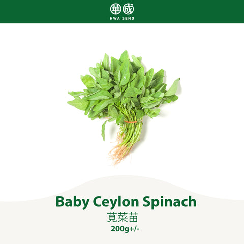 Baby Ceylon Spinach 莧菜苗 200g+/-