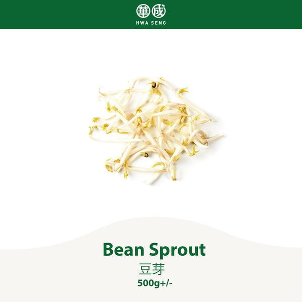 Bean Sprout 豆芽 500g+/-