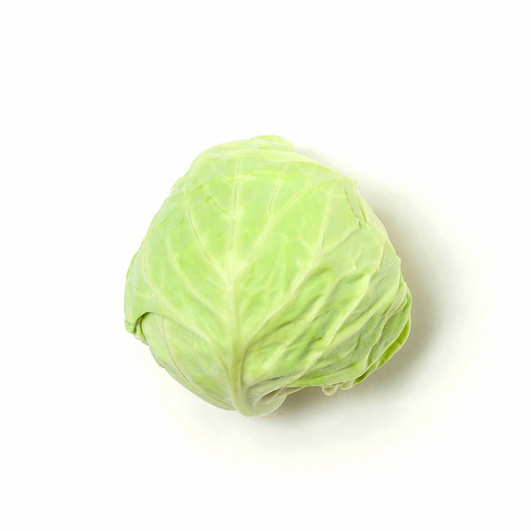 Beijing Cabbage 北京包菜 800g-900g+/-