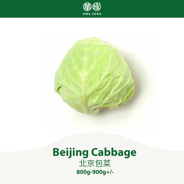 Beijing Cabbage 北京包菜 800g-900g+/-