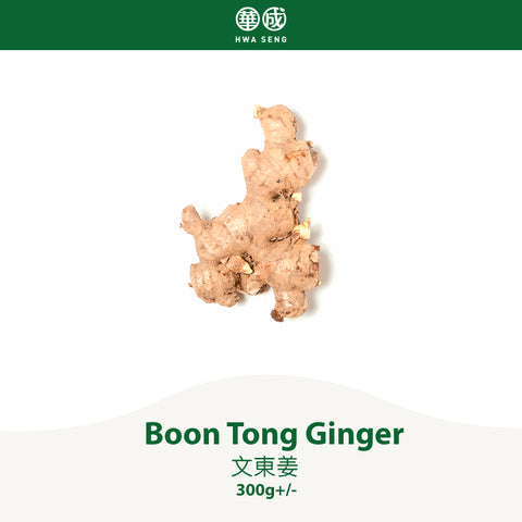 Boon Tong Ginger 文東姜 300g+/-