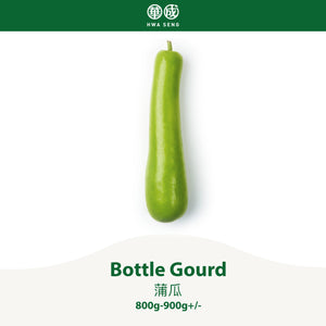 Bottle Gourd 蒲瓜 800g-900g+/-
