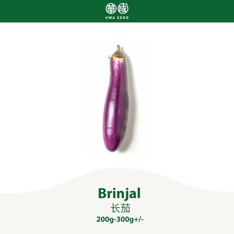 Brinjal 长茄 200g-300g+/-