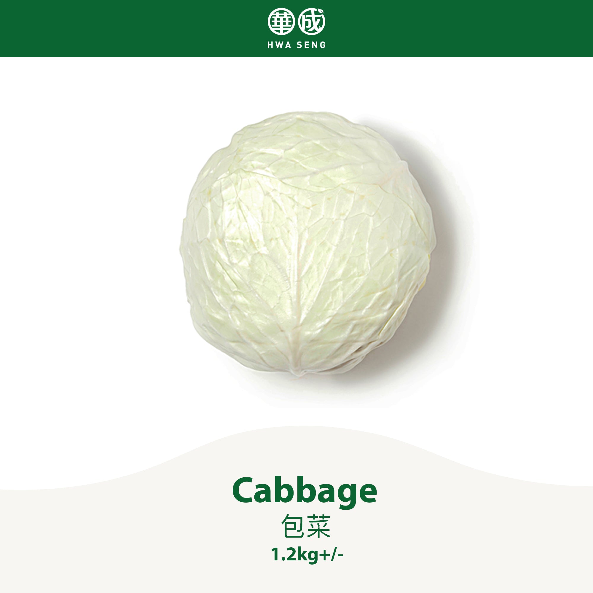 Cabbage 包菜 1.2kg+/-