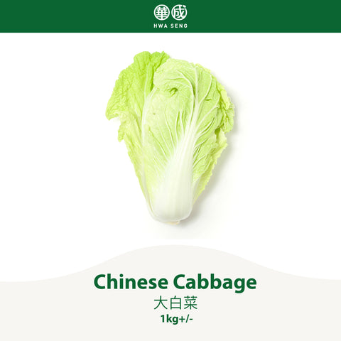 Chinese Cabbage 大白菜 1kg+/-