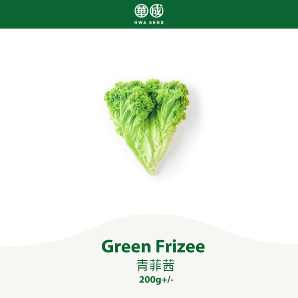 Green Frizee 青菲茜 200g+/-