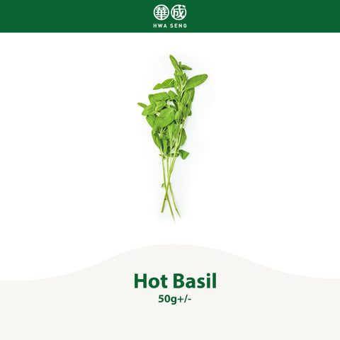 Hot Basil 50g+/-