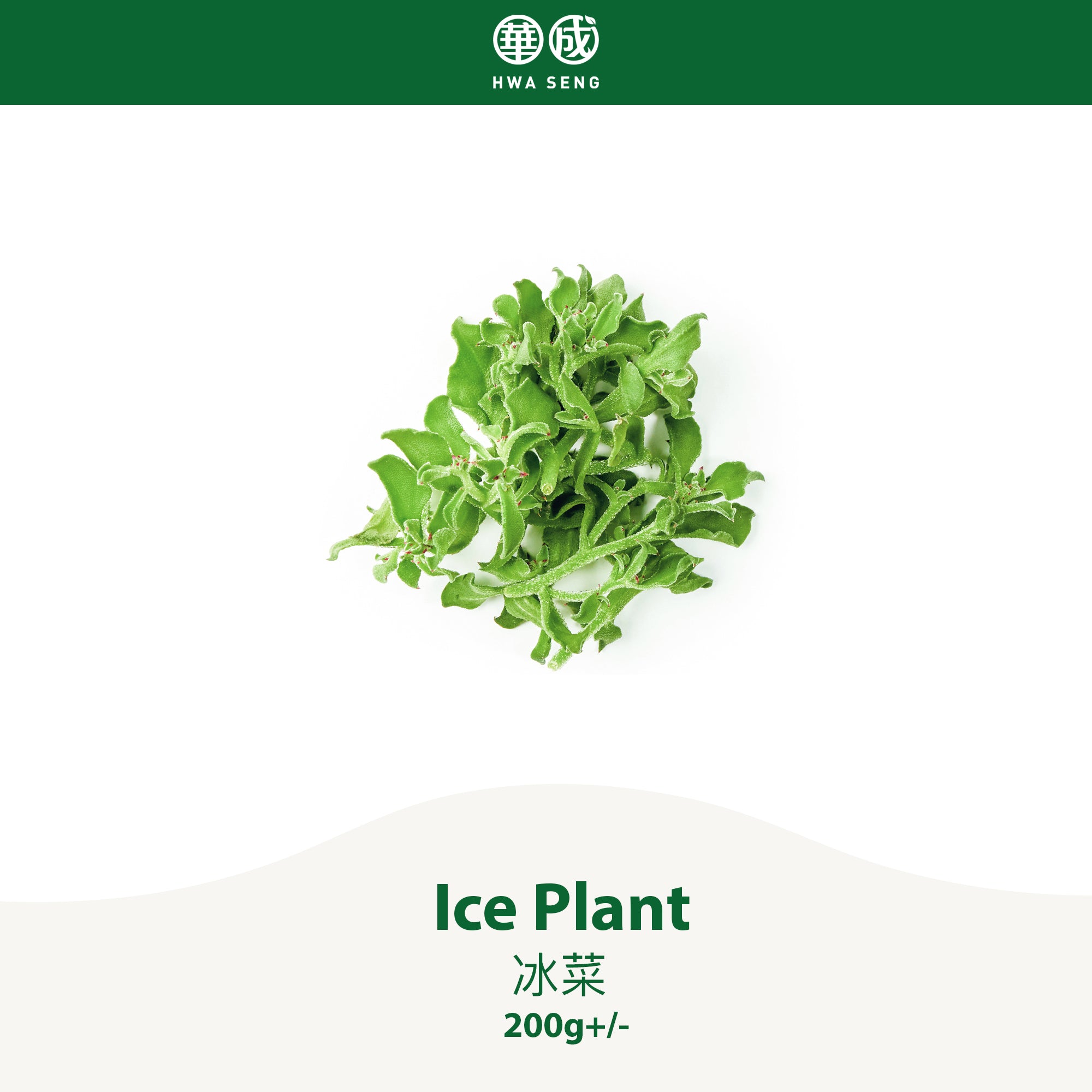 Ice Plant 冰菜 200g+/-