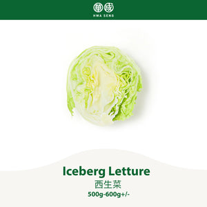 Iceberg Lettuce 西生菜 500g-600g+/-