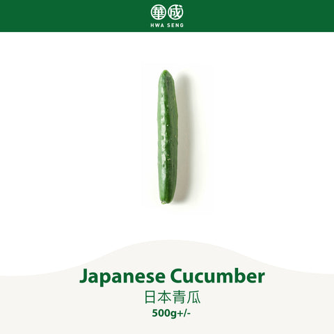 Japanese Cucumber 日本青瓜 500g+/-