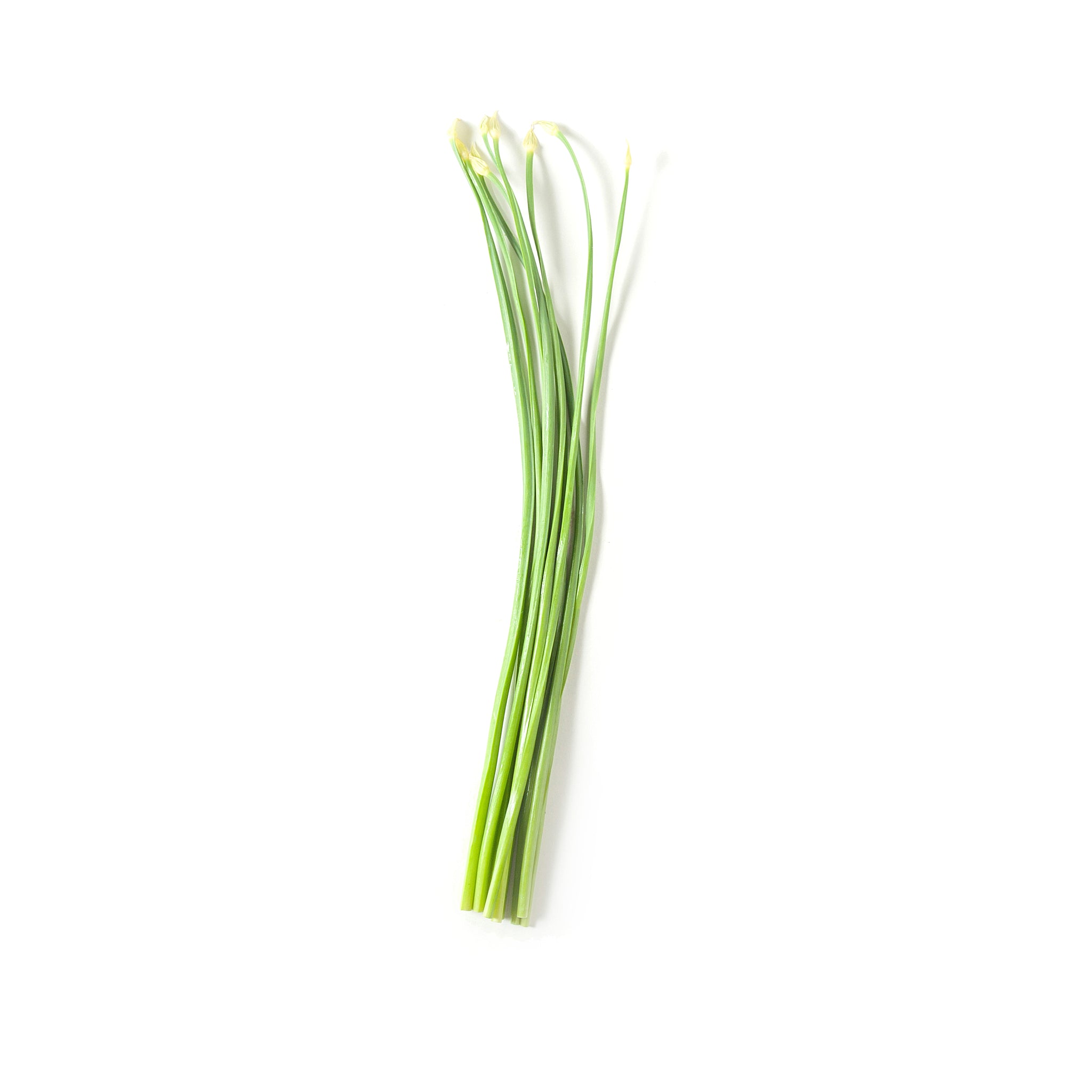Koo Chye Flower 韭菜花 200g+/- – Hwa Seng Vege Fruits Supplier
