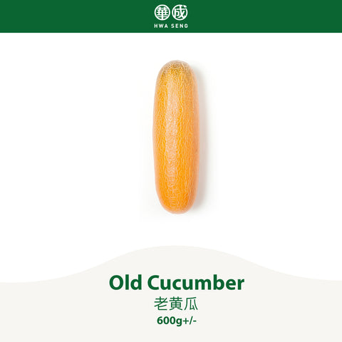 Old Cucumber 老黄瓜 600g+/-