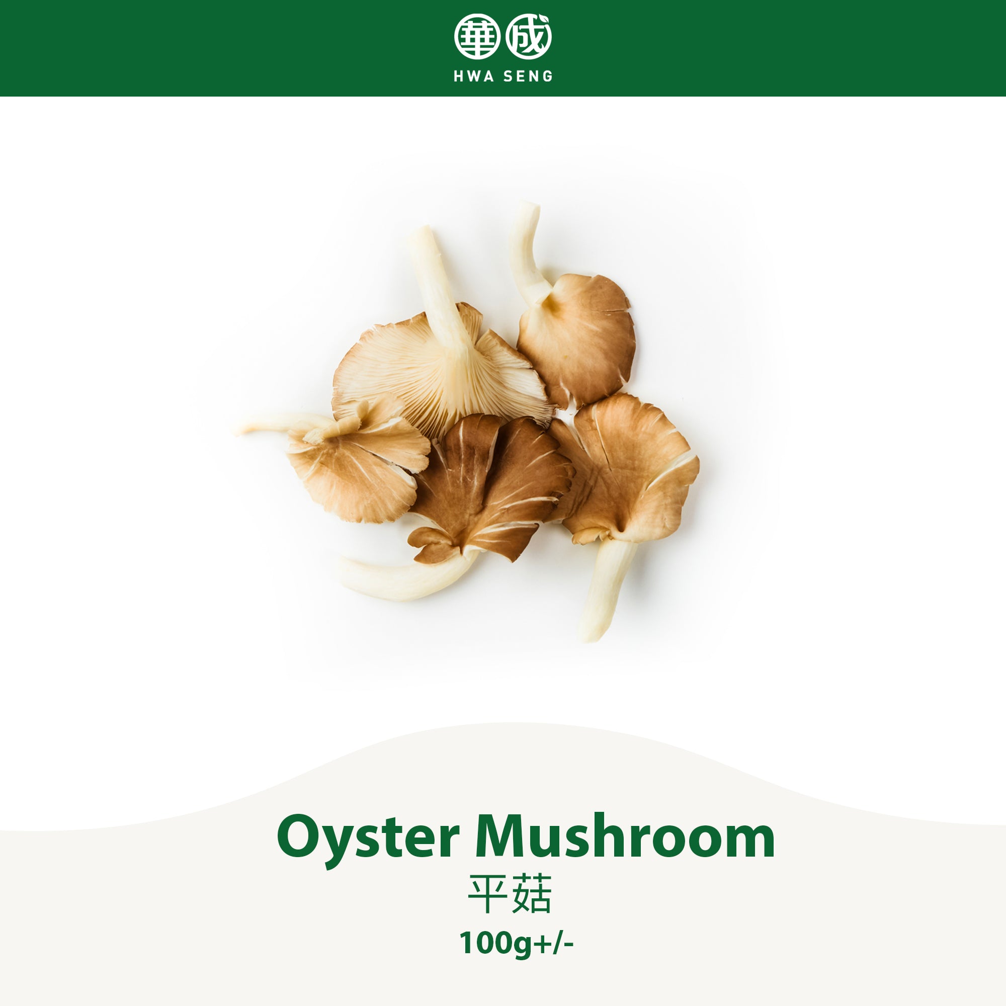 Oyster Mushroom 平菇 100g+/-